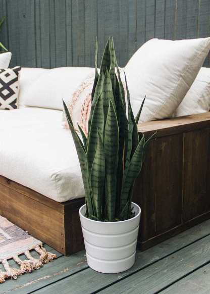 Faux Indoor/Outdoor UV Treated Potted Snake Plant - 35