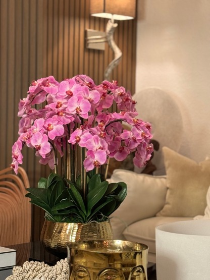 Light Pink Phalaenopsis Orchids Floral Arrangement in Medium Gold Planter