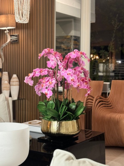 Light Pink Phalaenopsis Orchids Floral Arrangement in Medium Gold Planter