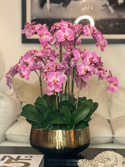 Light Pink Phalaenopsis Orchids Floral Arrangement in Medium Gold Planter