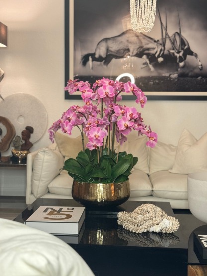 Light Pink Phalaenopsis Orchids Floral Arrangement in Medium Gold Planter