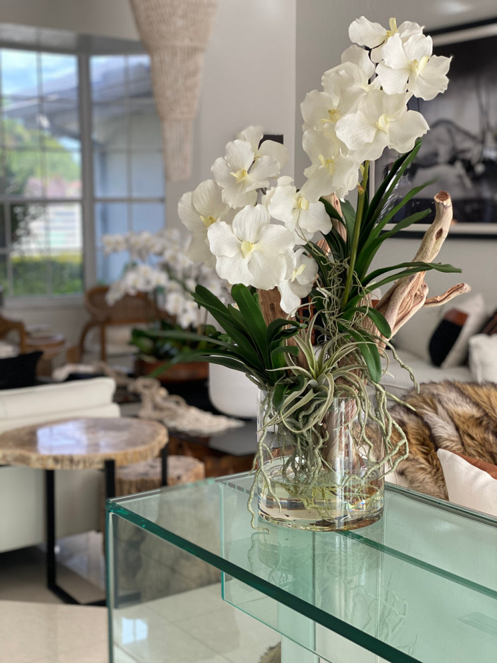 Vanda Orchids And Driftwood Inside Glass Cylinder violamii