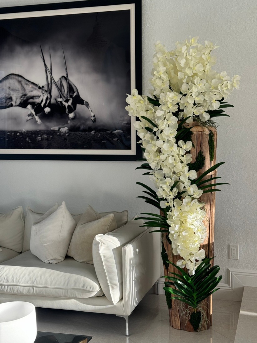 Large Live Edge Teak Vase with White Vanda Orchids violamii