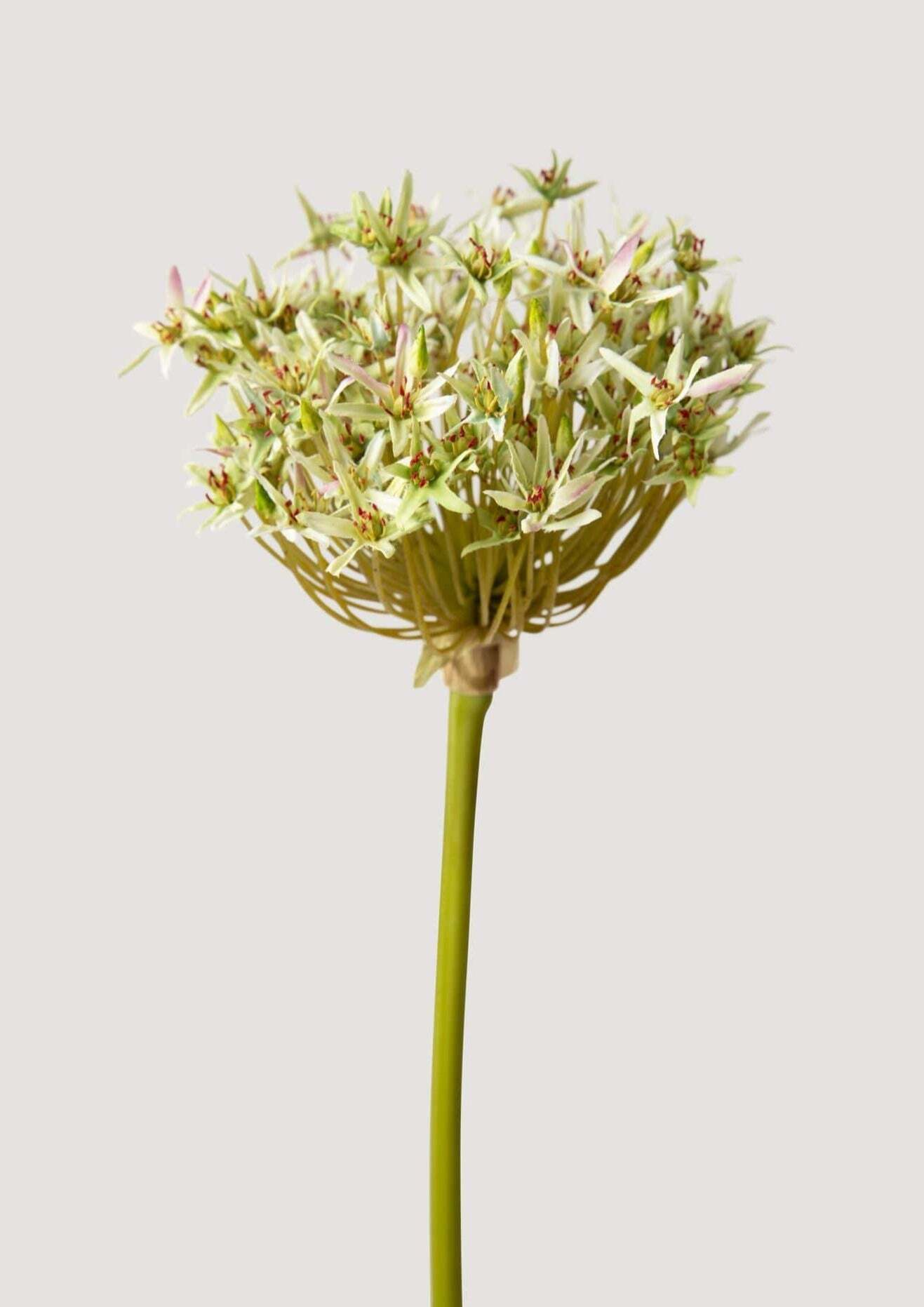 Artificial Allium Flower in Green - 36