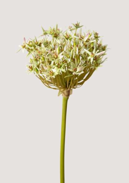Artificial Allium Flower in Green - 36