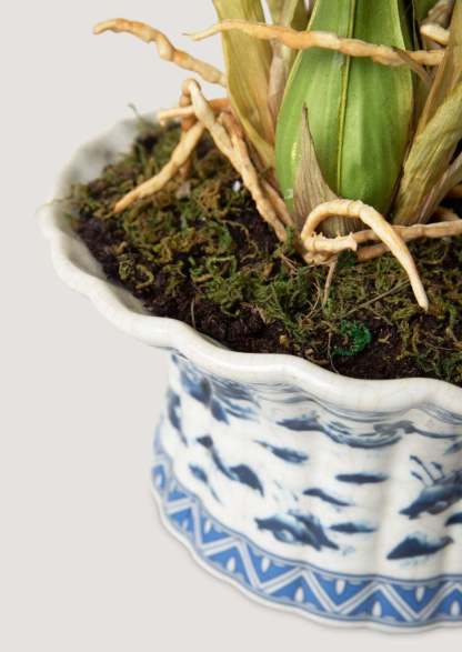 White Faux Orchid Arrangement in Blue Ceramic Pot - 27