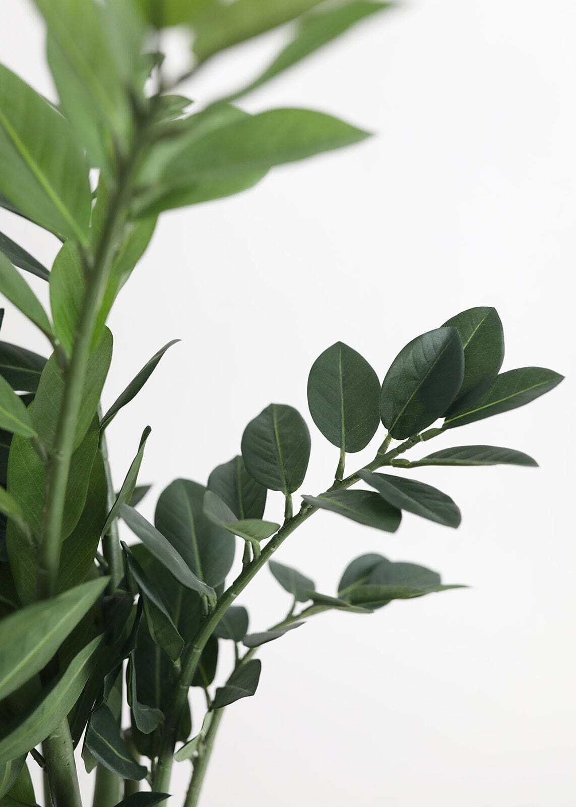 Artificial ZZ Tropical Plant in Pot - 30
