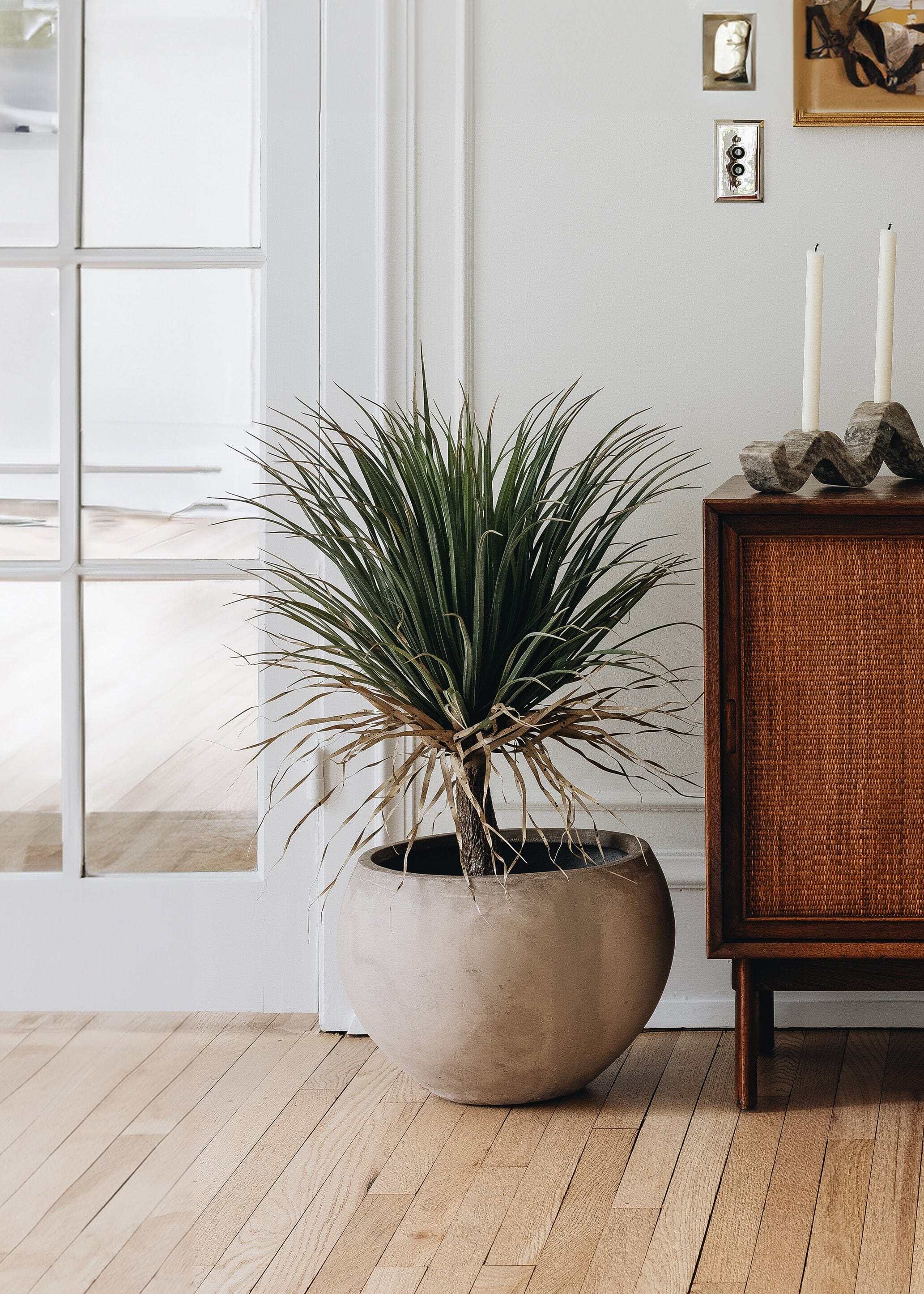 Faux Potted Palm Tree Plant in Cement Planter - 40
