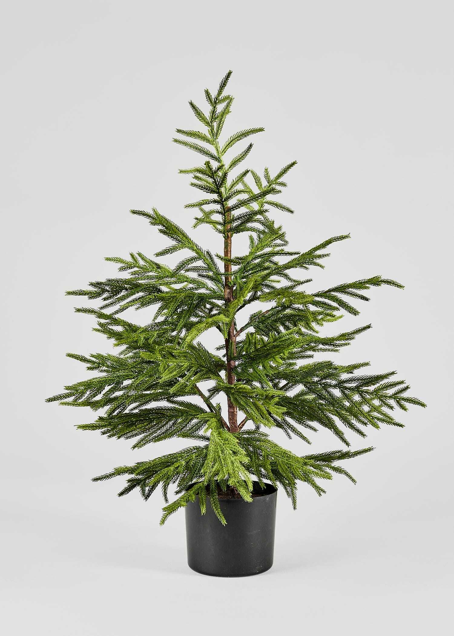 Afloral Artificial Norfolk Pine Tree - 36