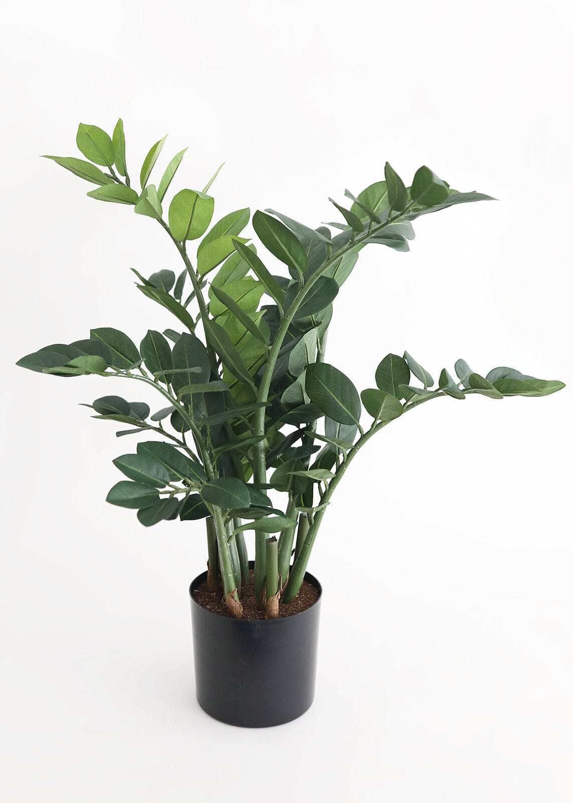 Artificial ZZ Tropical Plant in Pot - 30