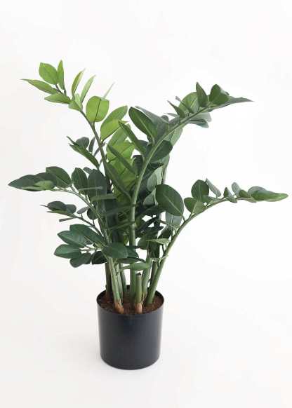 Artificial ZZ Tropical Plant in Pot - 30