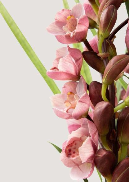 Mauve Faux Orchid Arrangement in Blue Ceramic Pot - 27
