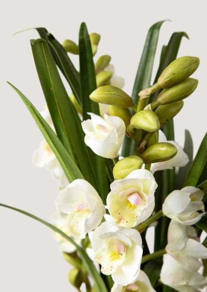 White Faux Orchid Arrangement in Blue Ceramic Pot - 27