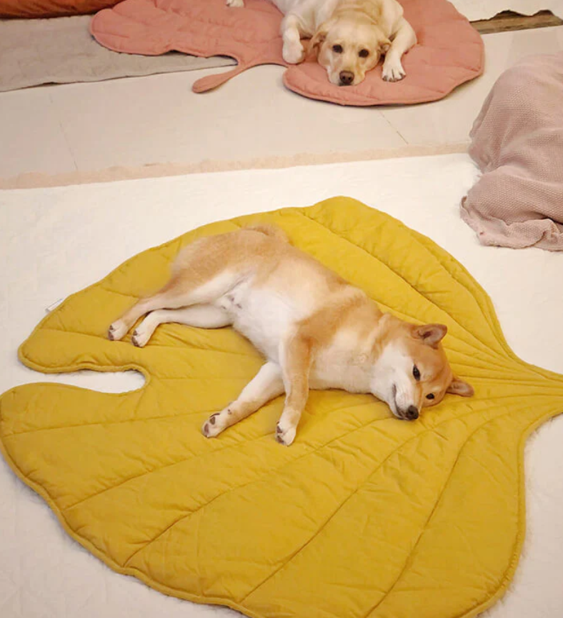 Pet Beds