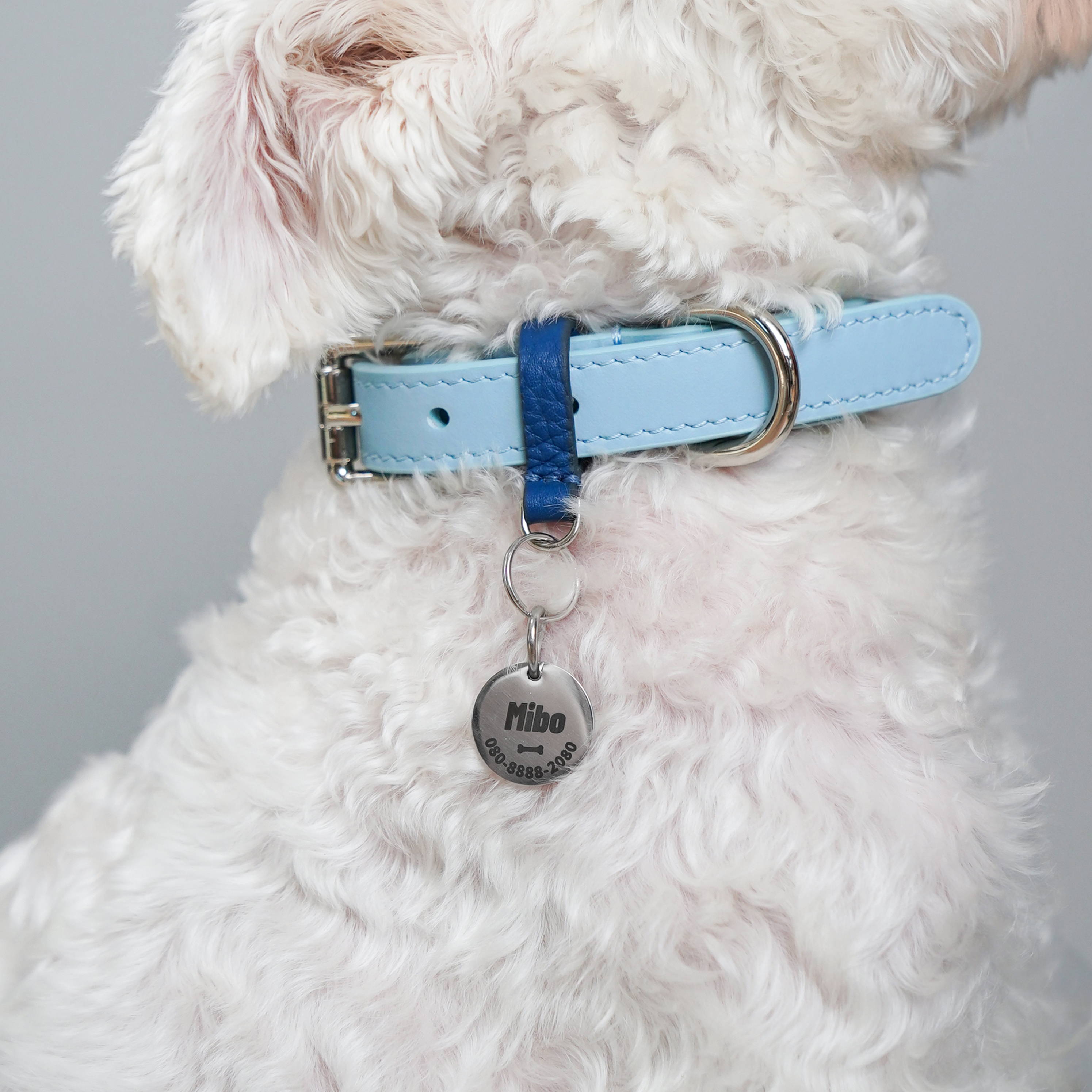 Custom Dog Name Plate Titanium Steel-PPZEN