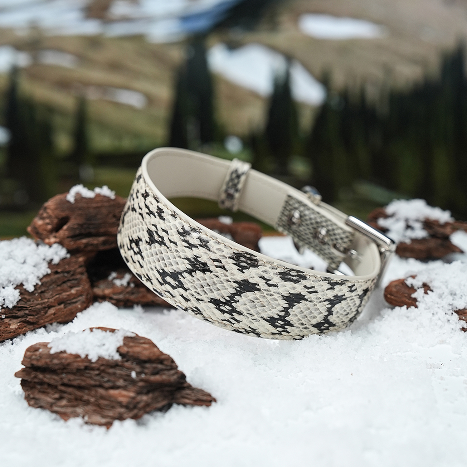 Lake under Himalaya Dog Collar SnakeLeather-PPZEN