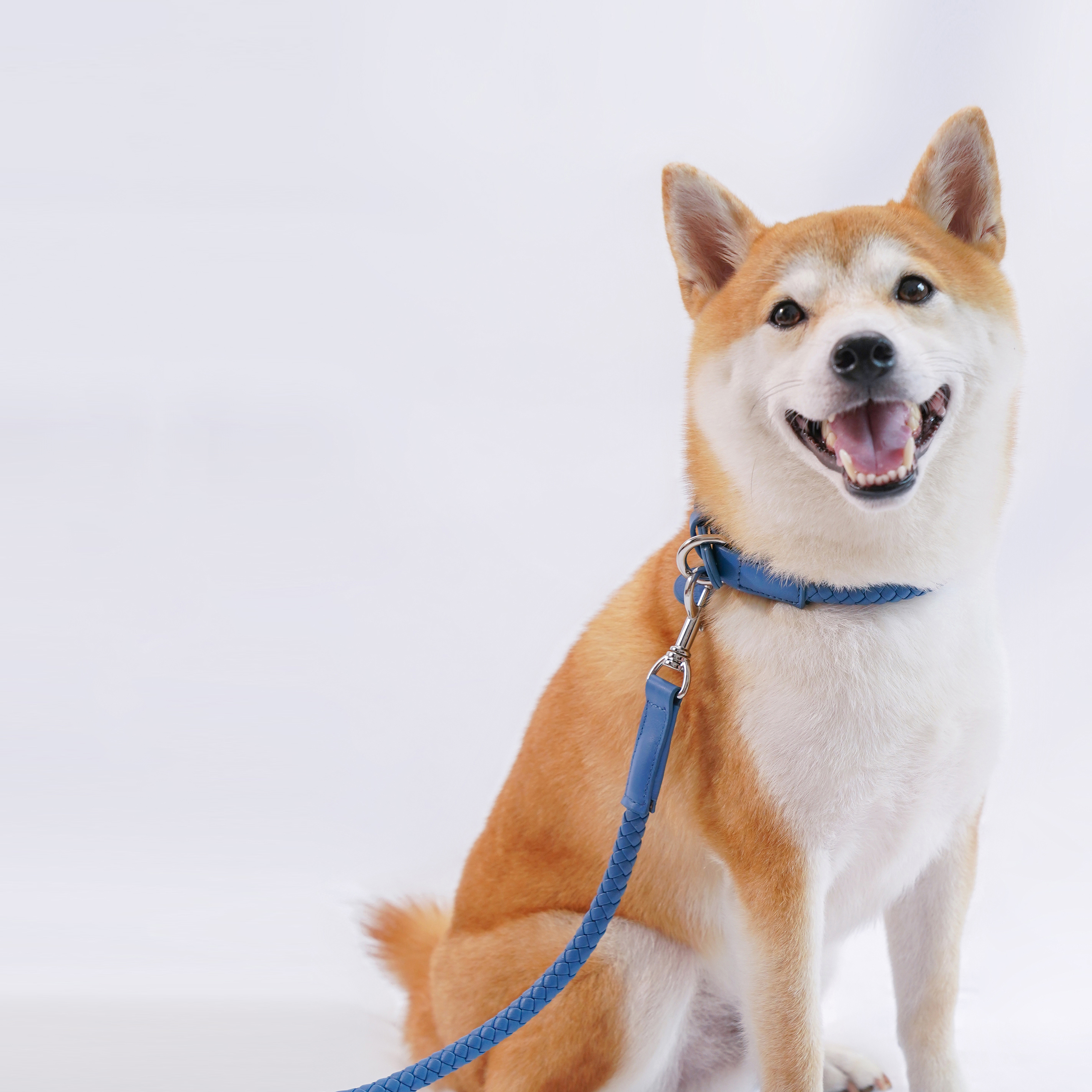 Mediterranean Summer Vacation-PPZEN