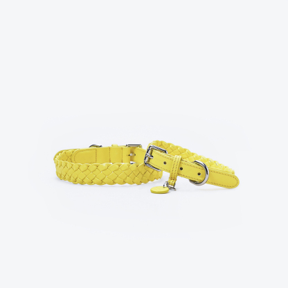 Keukenhof Spring Tulip Dog Collar Yellow-PPZEN