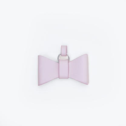 Puppy School Decorative Accessory-PPZEN