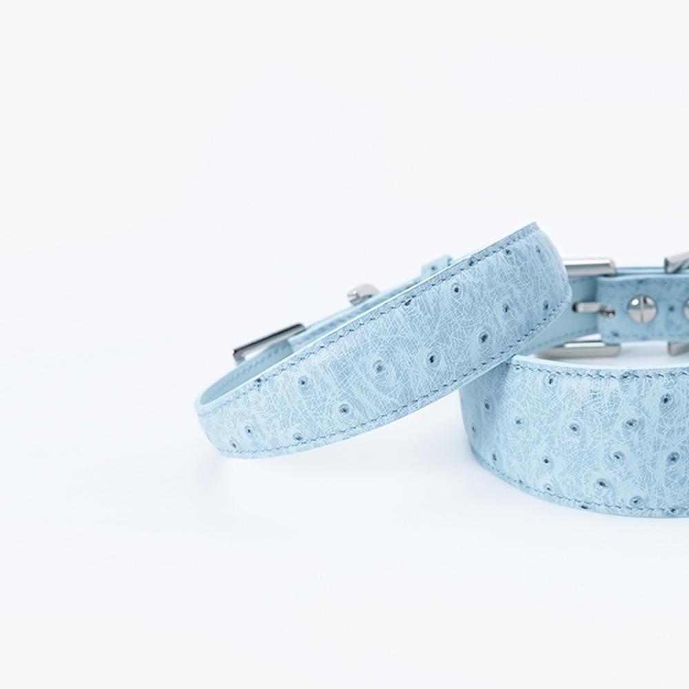 Lake under Himalaya-PPZEN