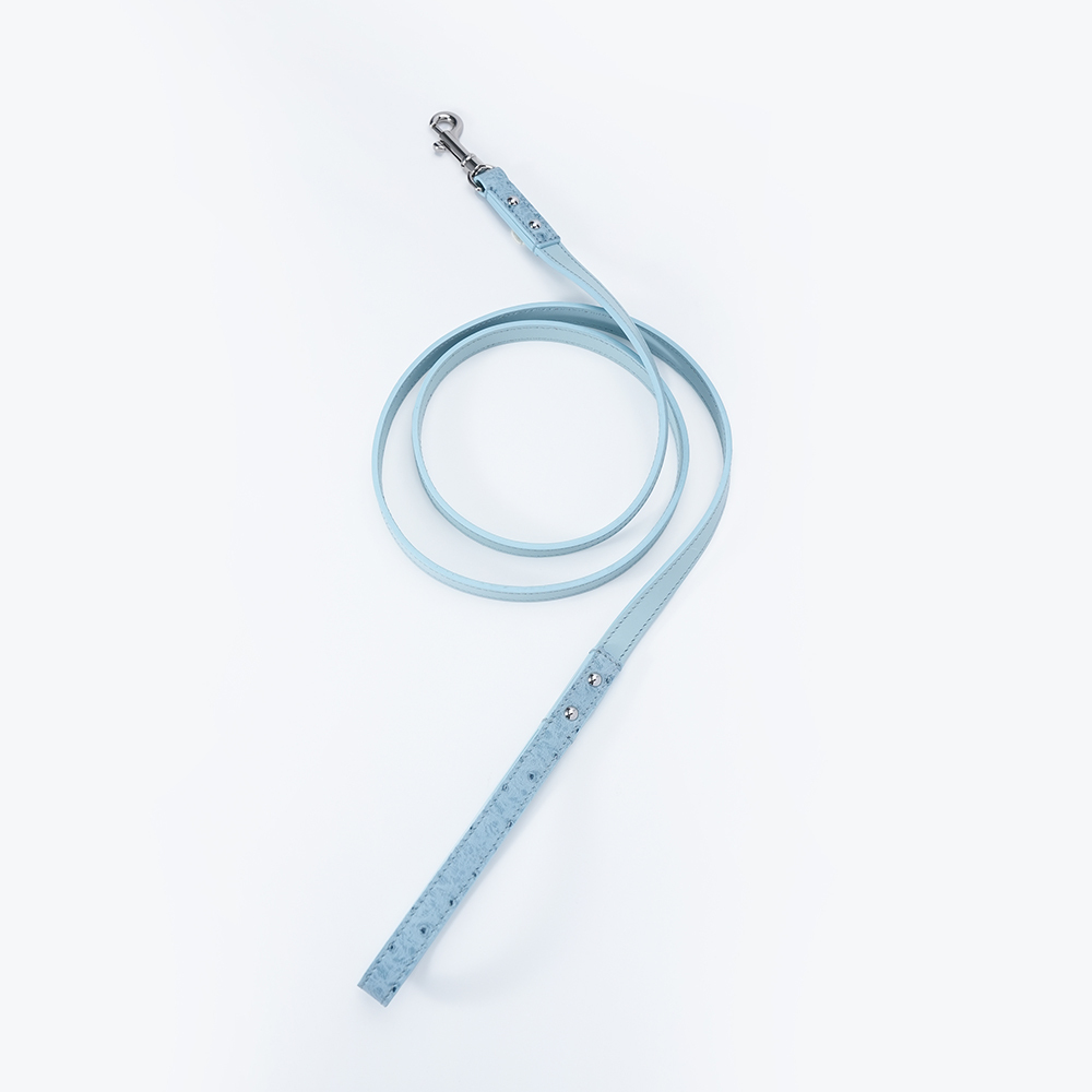 Lake under Himalaya Dog Leash Sheepskin-PPZEN