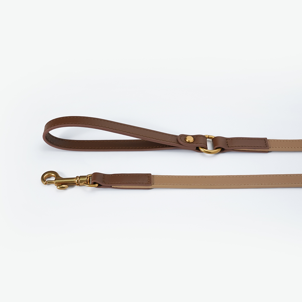 Fall in NY Central Park Dog Leash Opricot-PPZEN