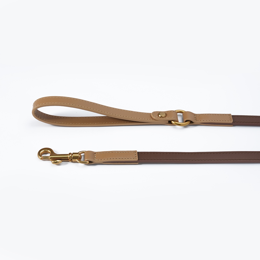 Fall in NY Central Park Dog Leash Brown-PPZEN