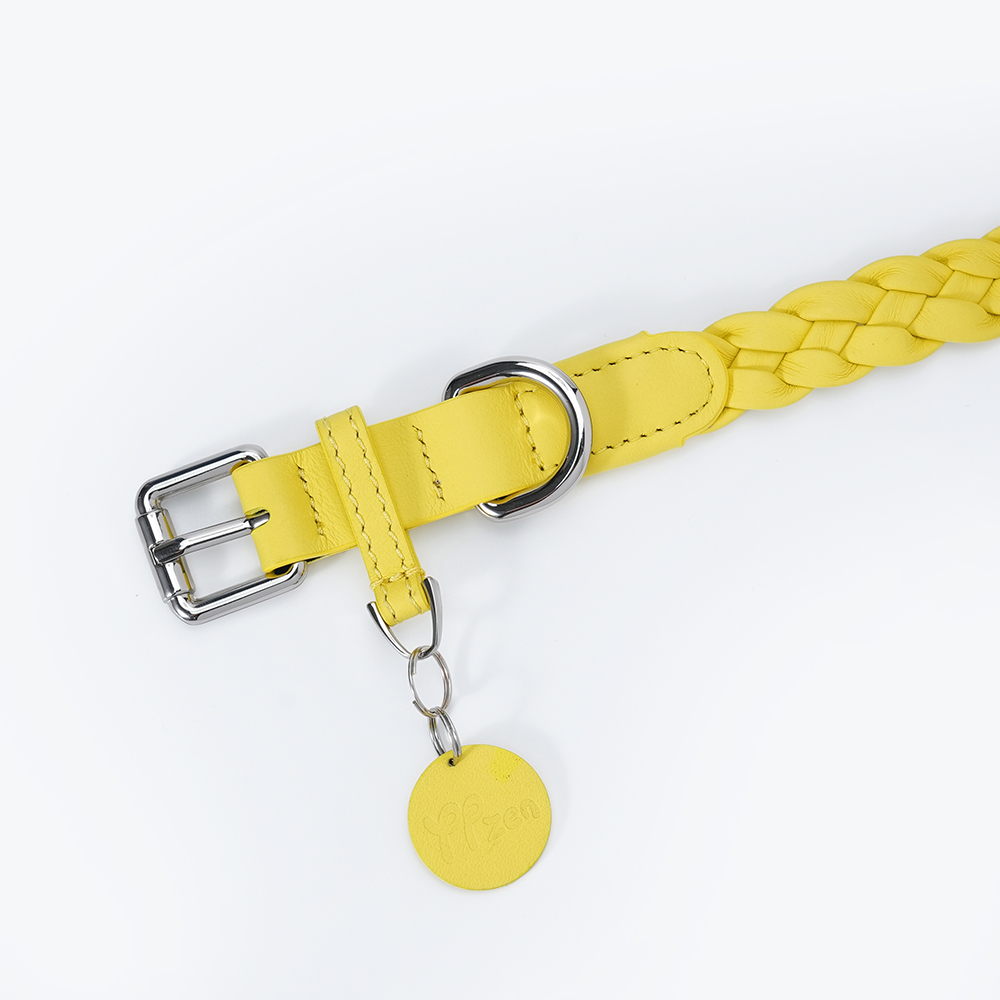 Keukenhof Spring Tulip Dog Collar Yellow-PPZEN