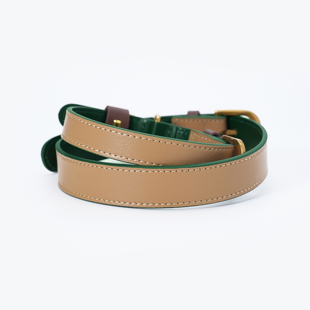 Fall in NY Central Park Dog Collar Opricot-PPZEN