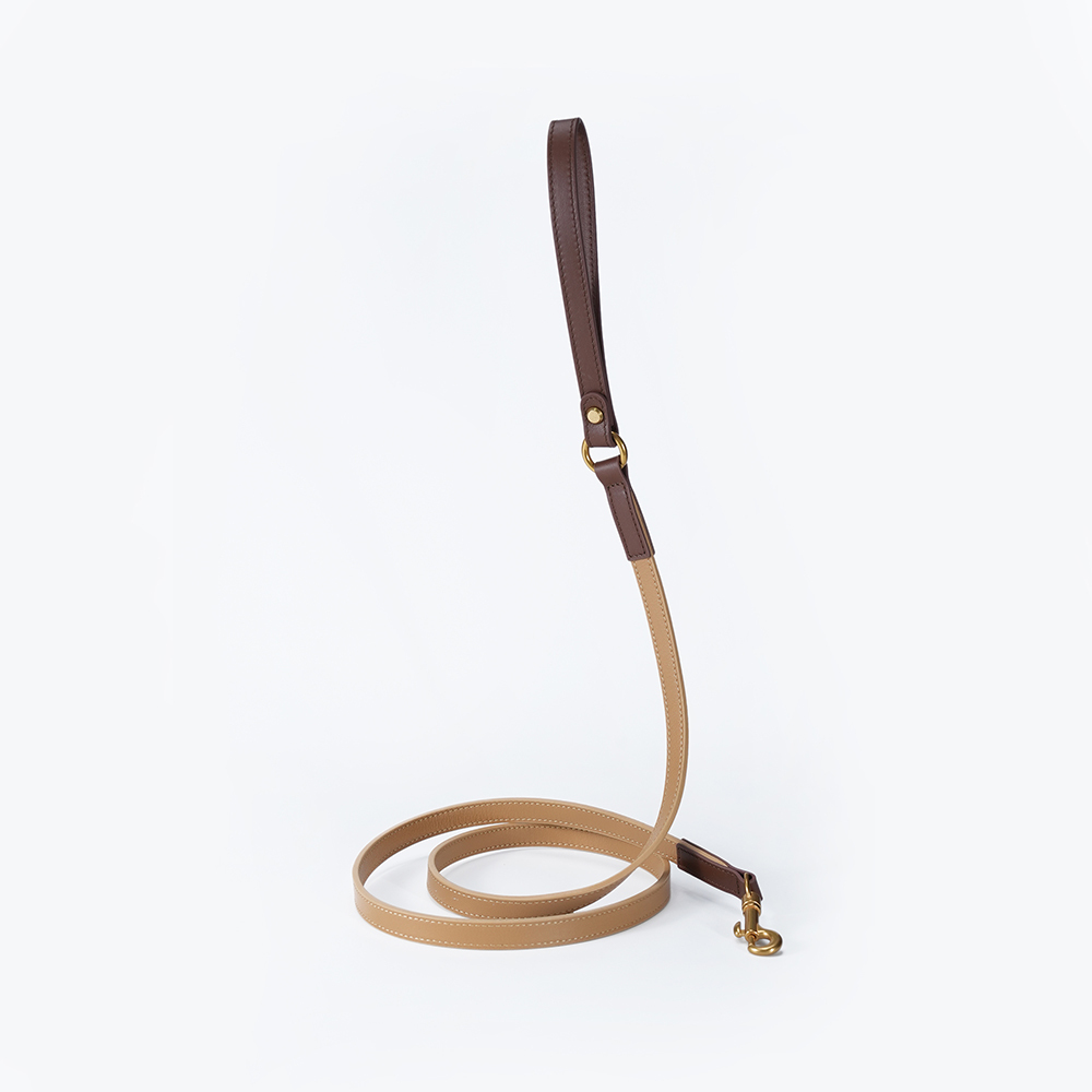 Fall in NY Central Park Dog Leash Opricot-PPZEN