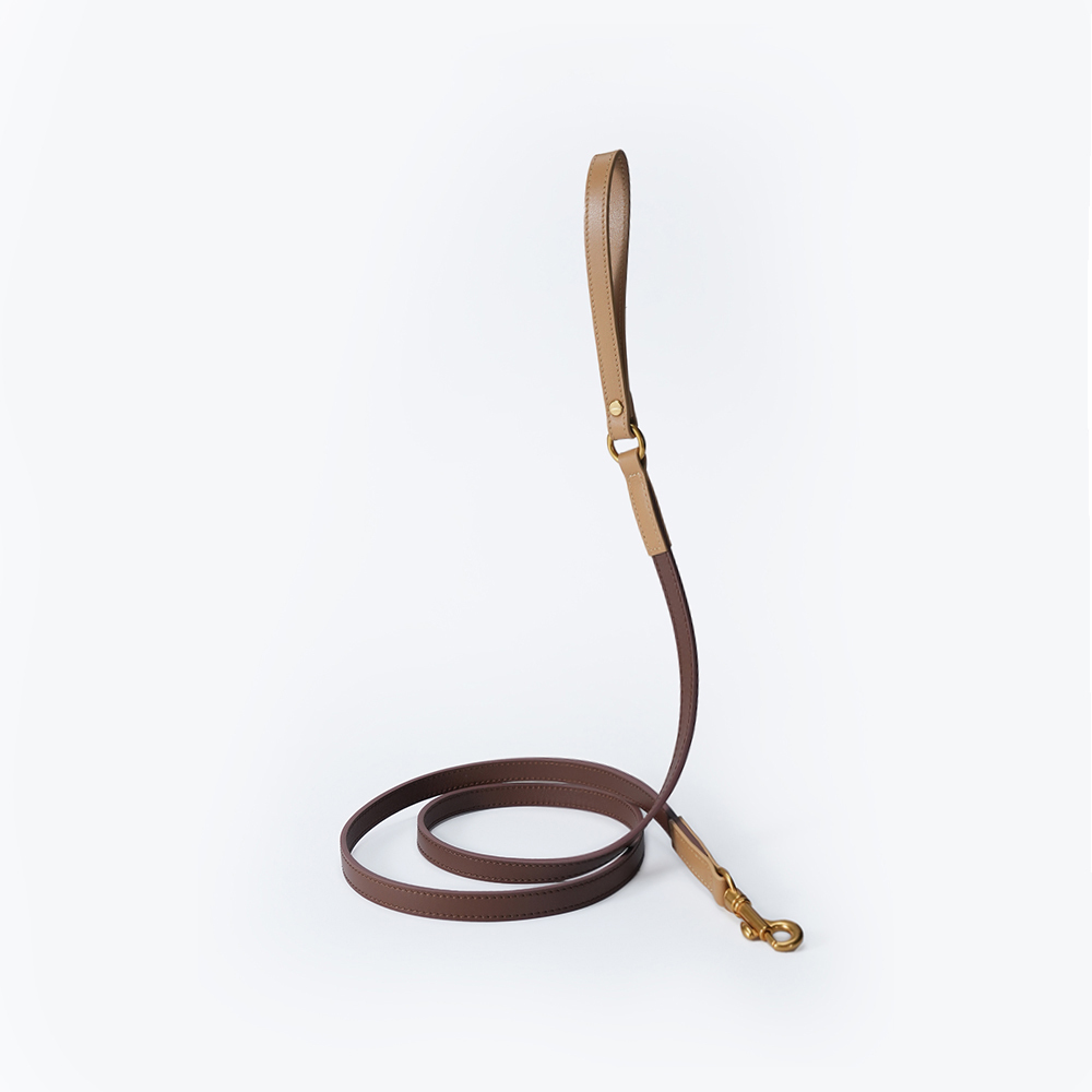 Fall in NY Central Park Dog Leash Brown-PPZEN