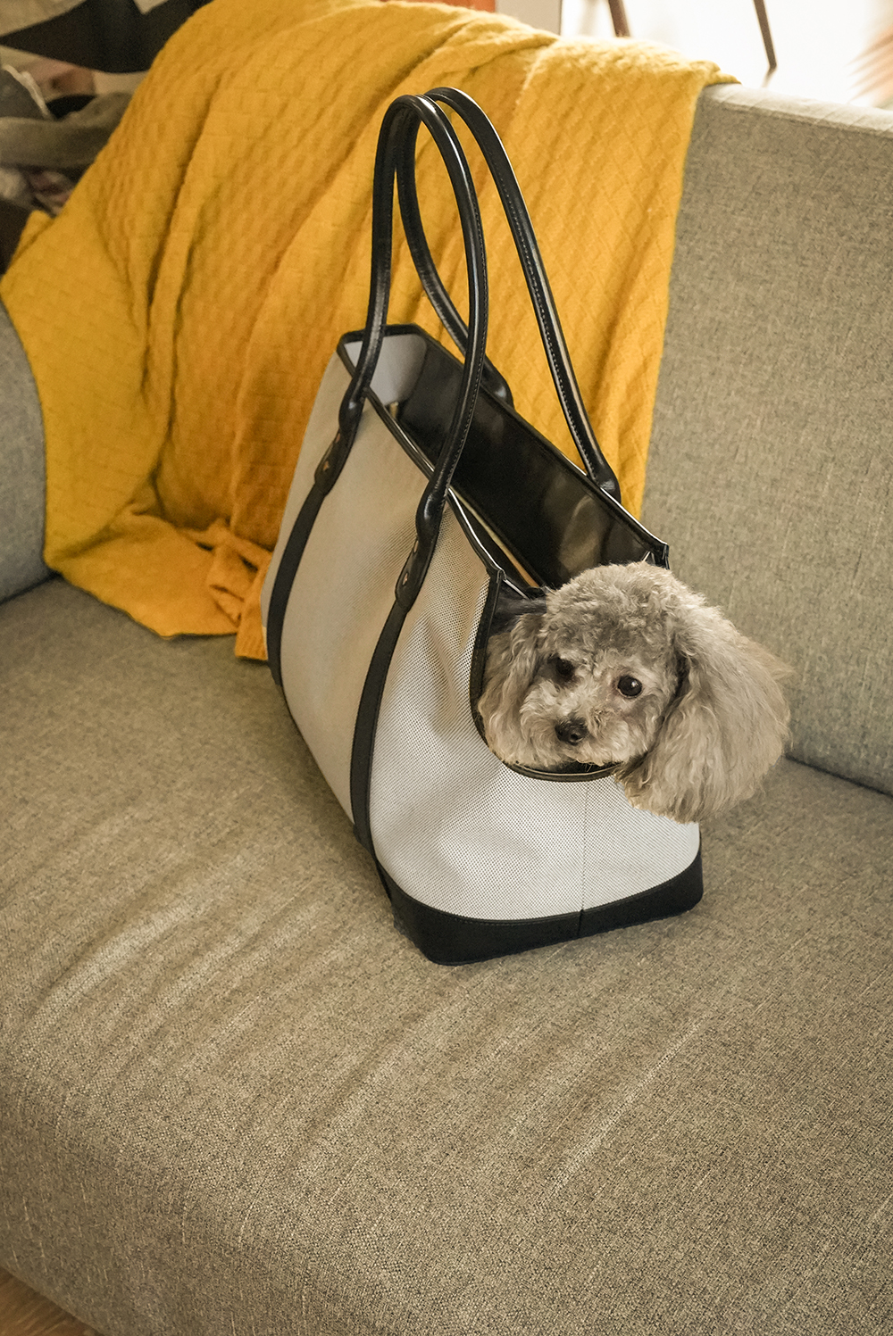 Dog Carrier Black-PPZEN