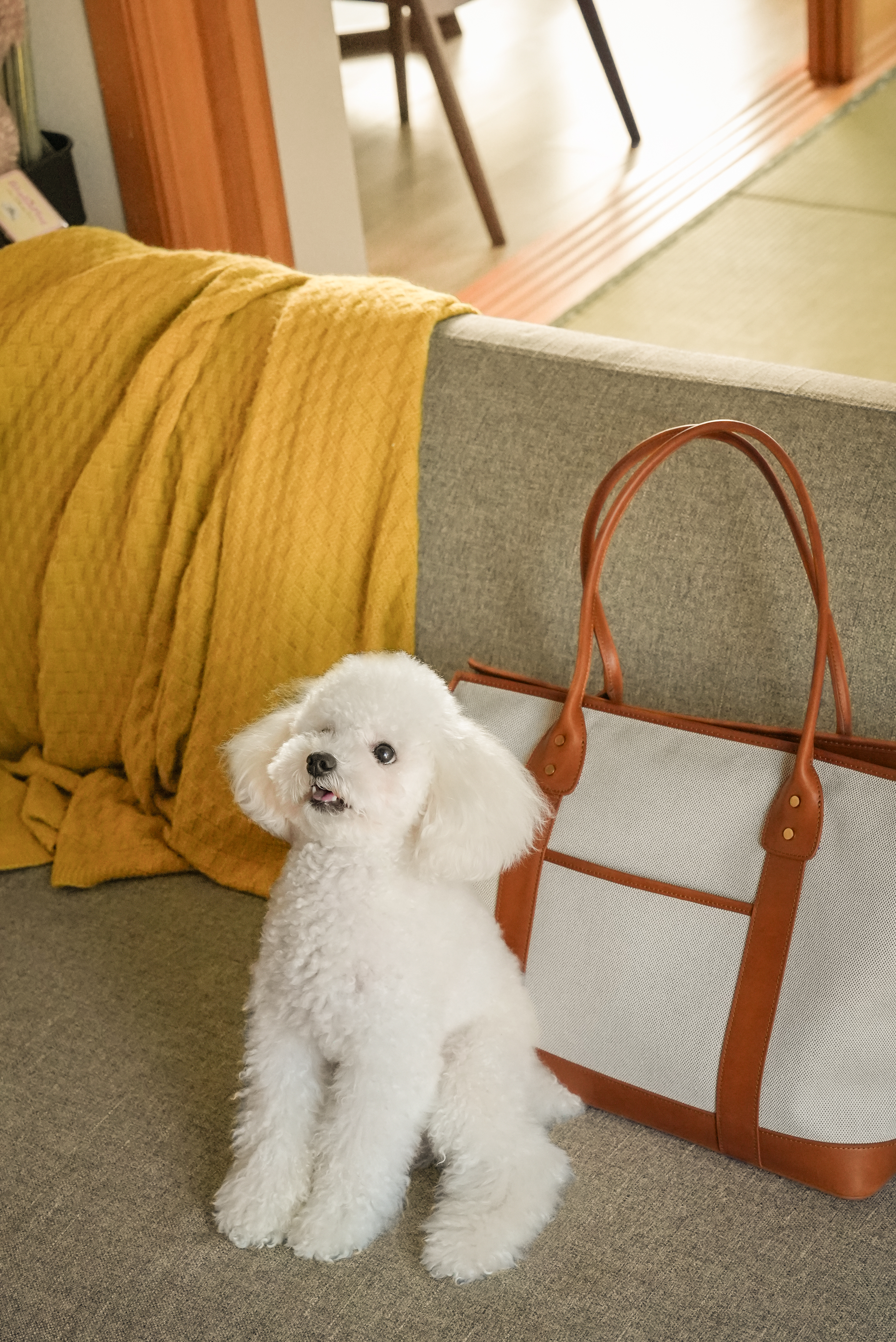 Dog Carrier Brown-PPZEN