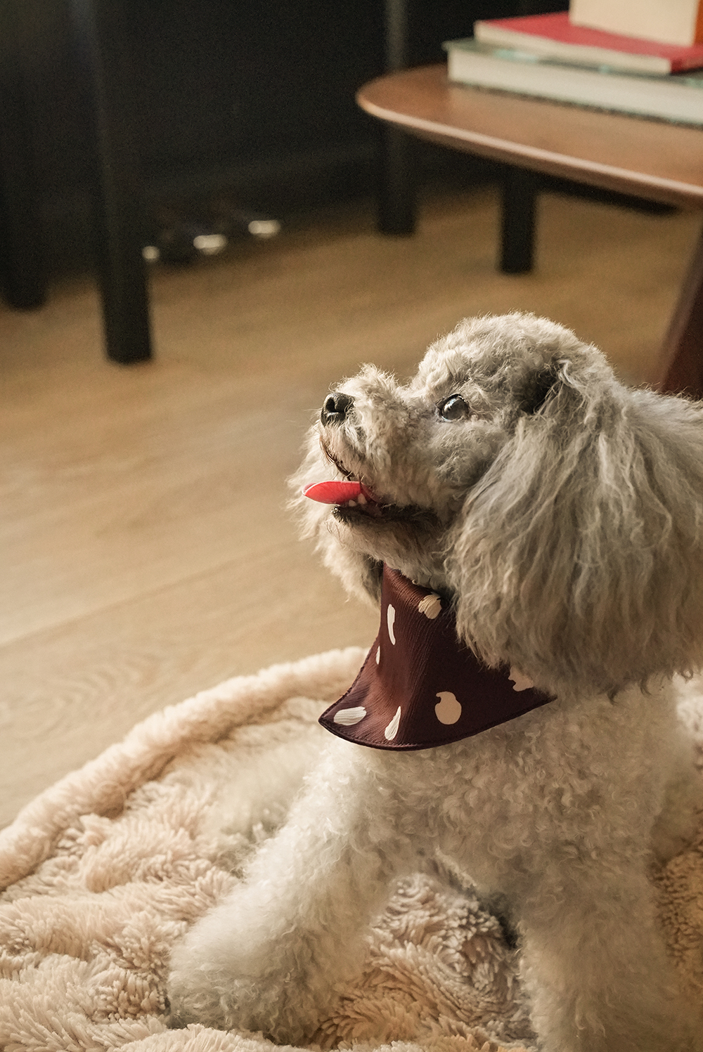 Dog Scarves Brown-PPZEN