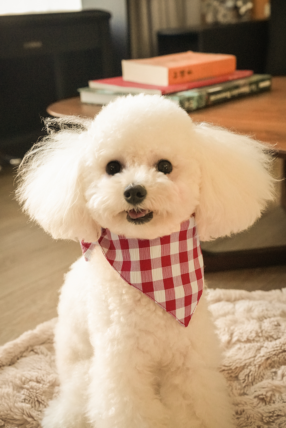 Dog Scarves Red-PPZEN