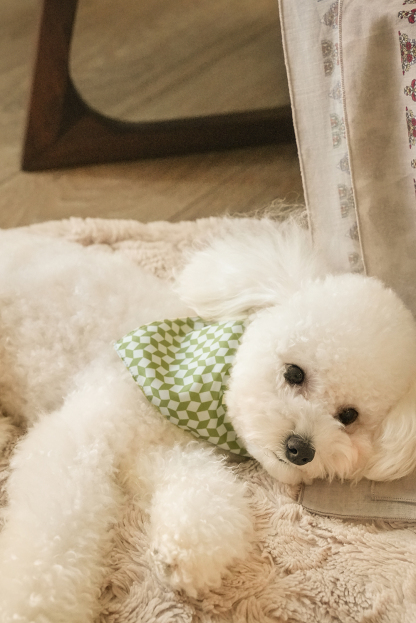 Dog Scarves Green-PPZEN