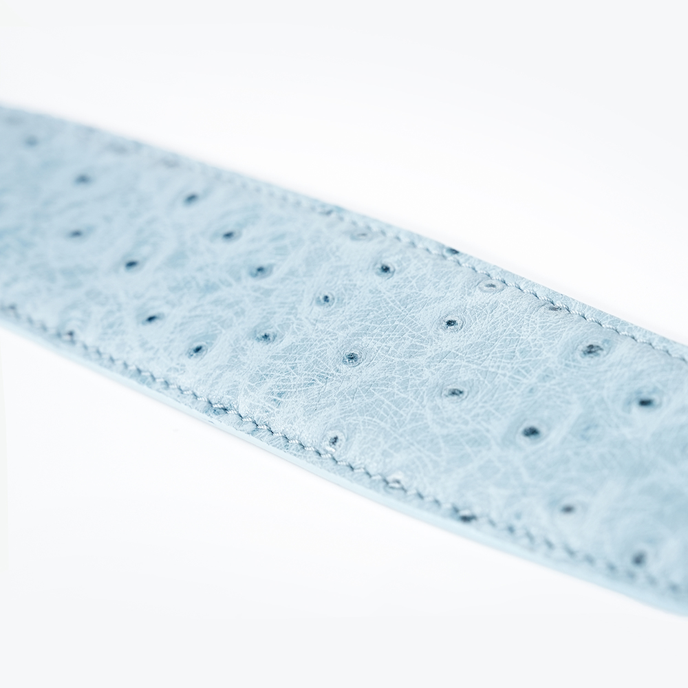 Lake under Himalaya Dog Collar Sheepskin-PPZEN