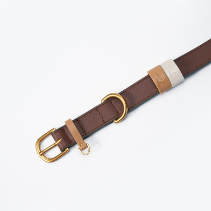 Fall in NY Central Park Dog Collar Brown-PPZEN