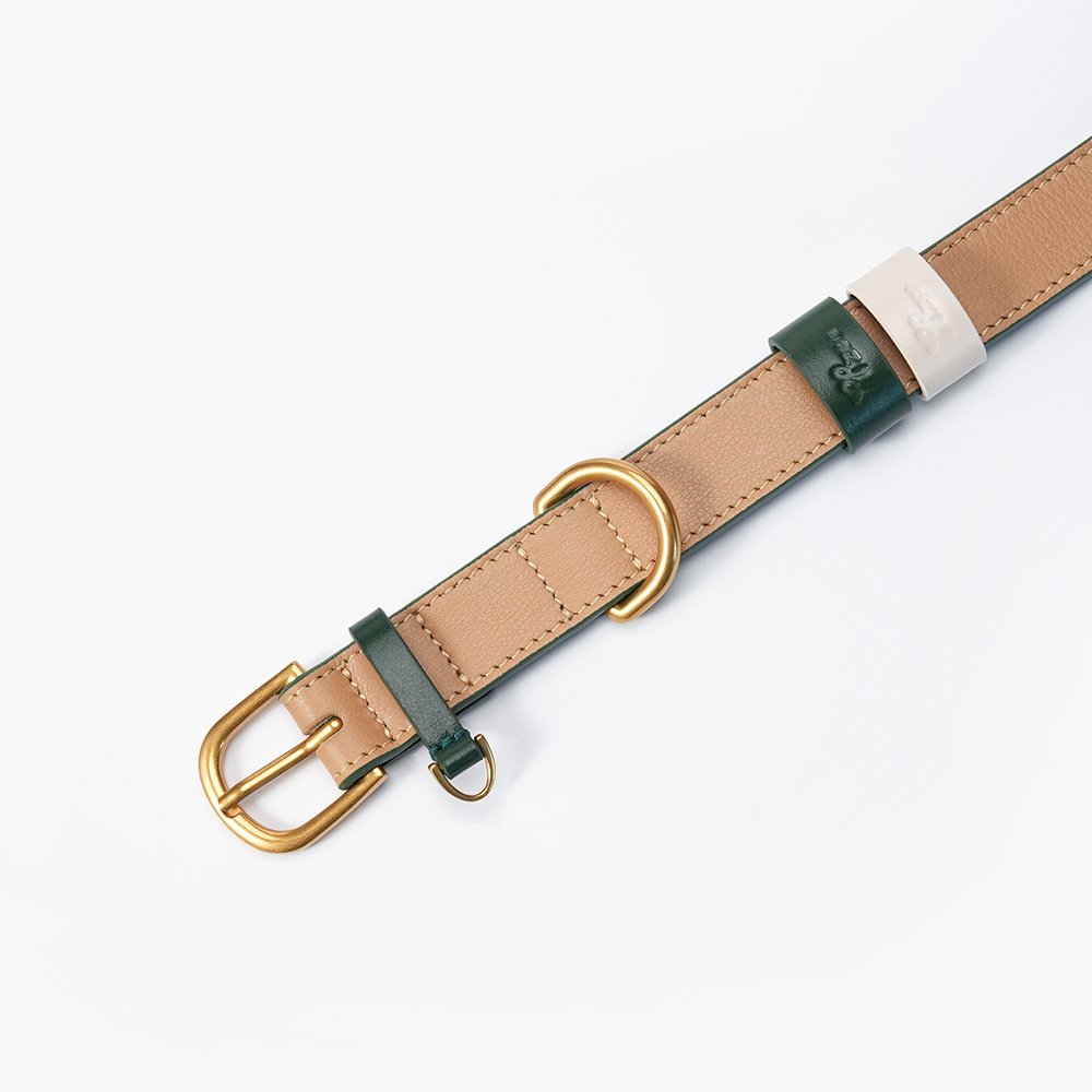 Fall in NY Central Park Dog Collar Opricot-PPZEN