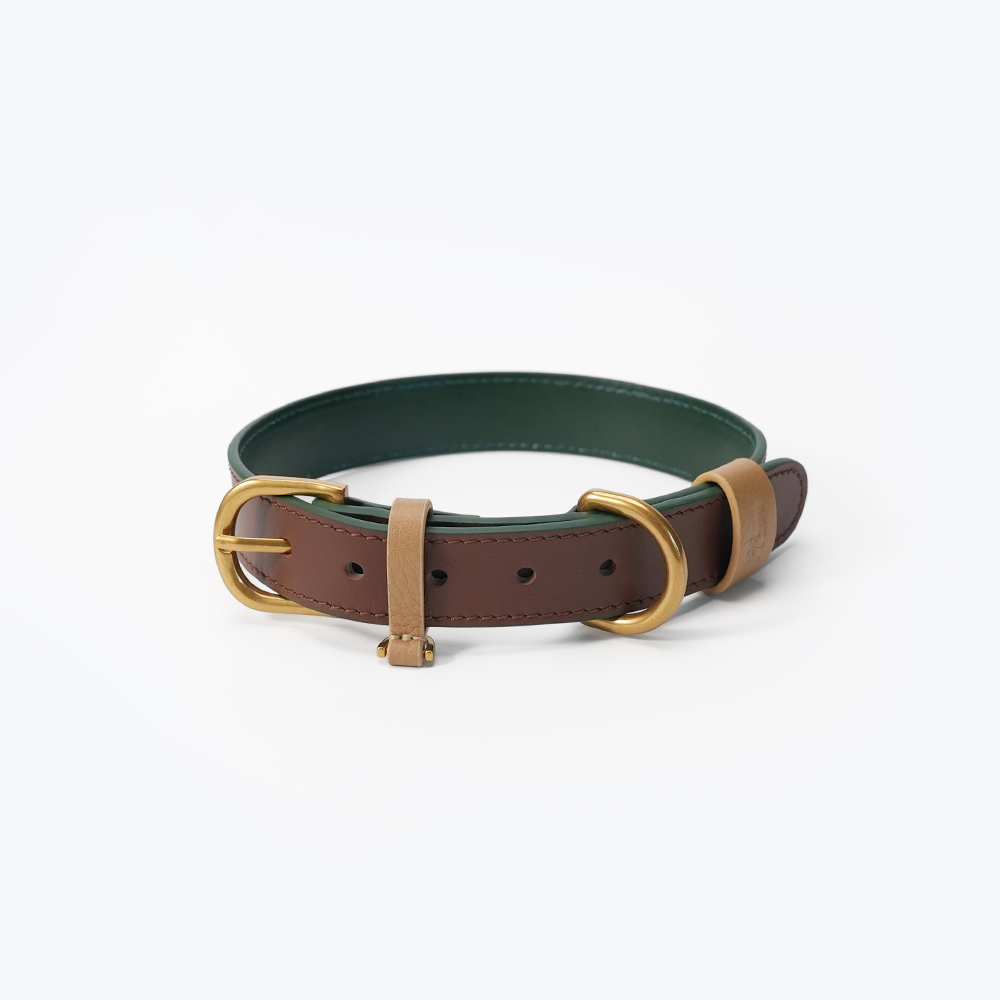 Fall in NY Central Park Dog Collar Brown-PPZEN