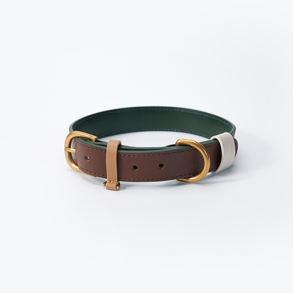 Fall in NY Central Park Dog Collar Brown-PPZEN