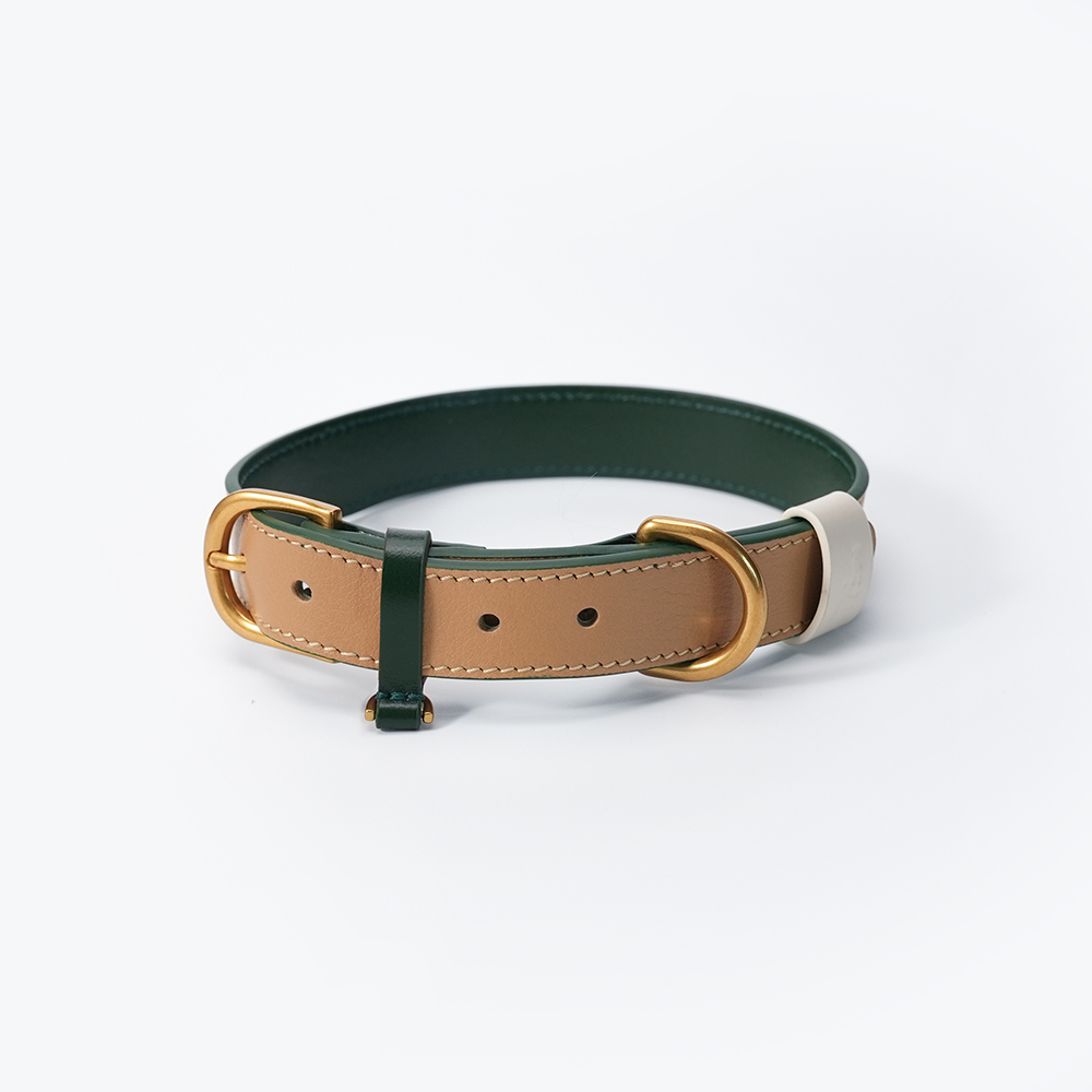 Fall in NY Central Park Dog Collar Opricot-PPZEN