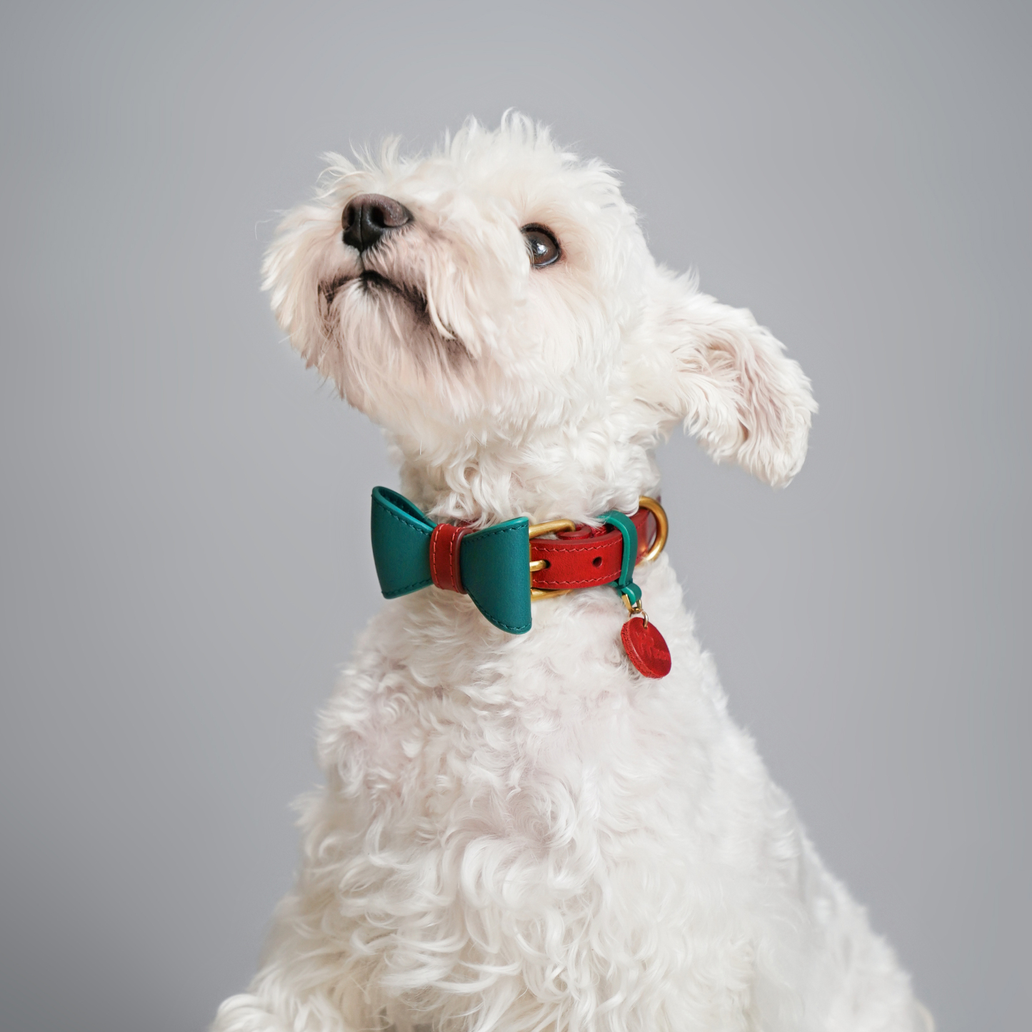 Wedding Premium Dog Collar Red with Green-PPZEN