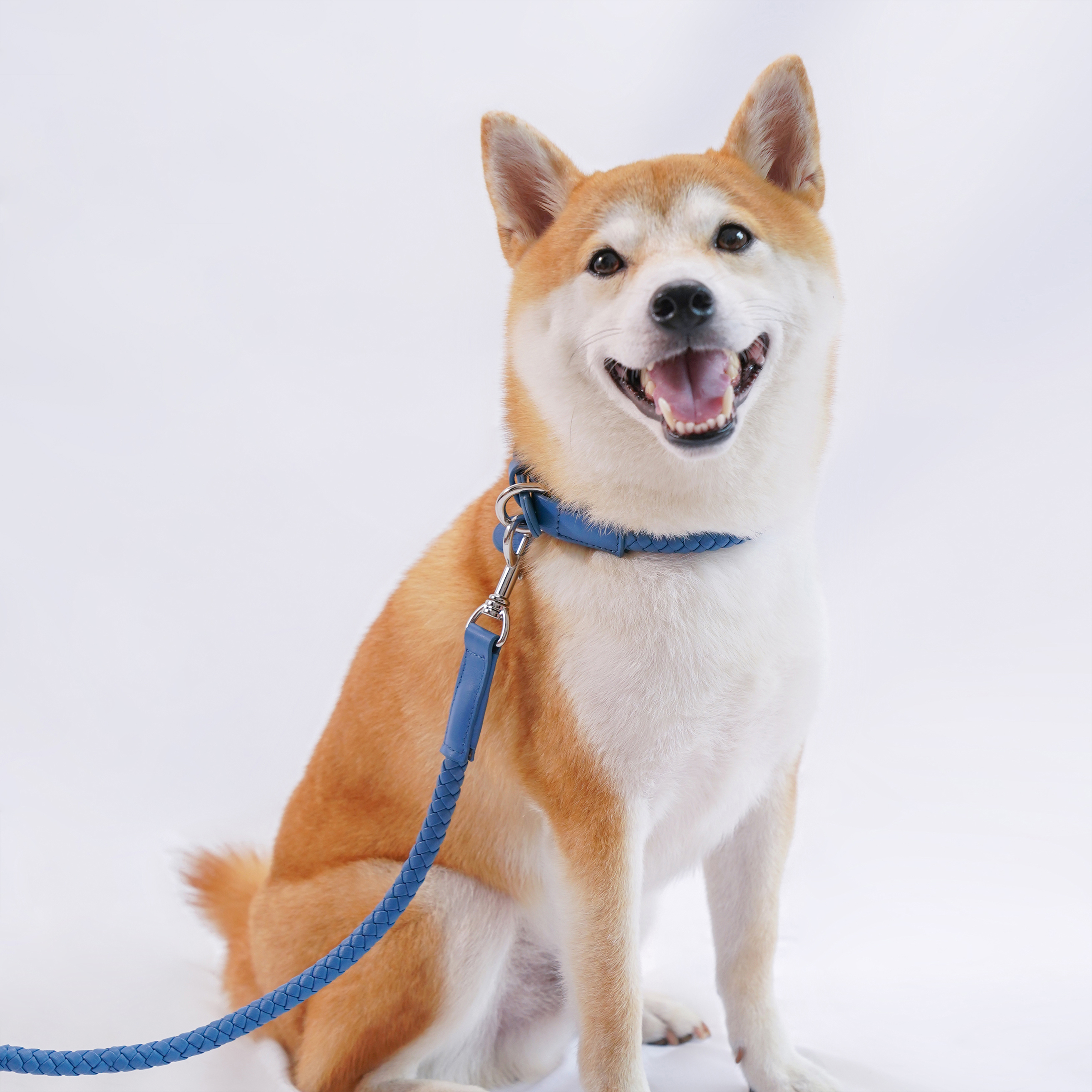   Mediterranean Summer Vacation Dog Leash Blue-PPZEN