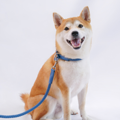   Mediterranean Summer Vacation Dog Leash Blue-PPZEN