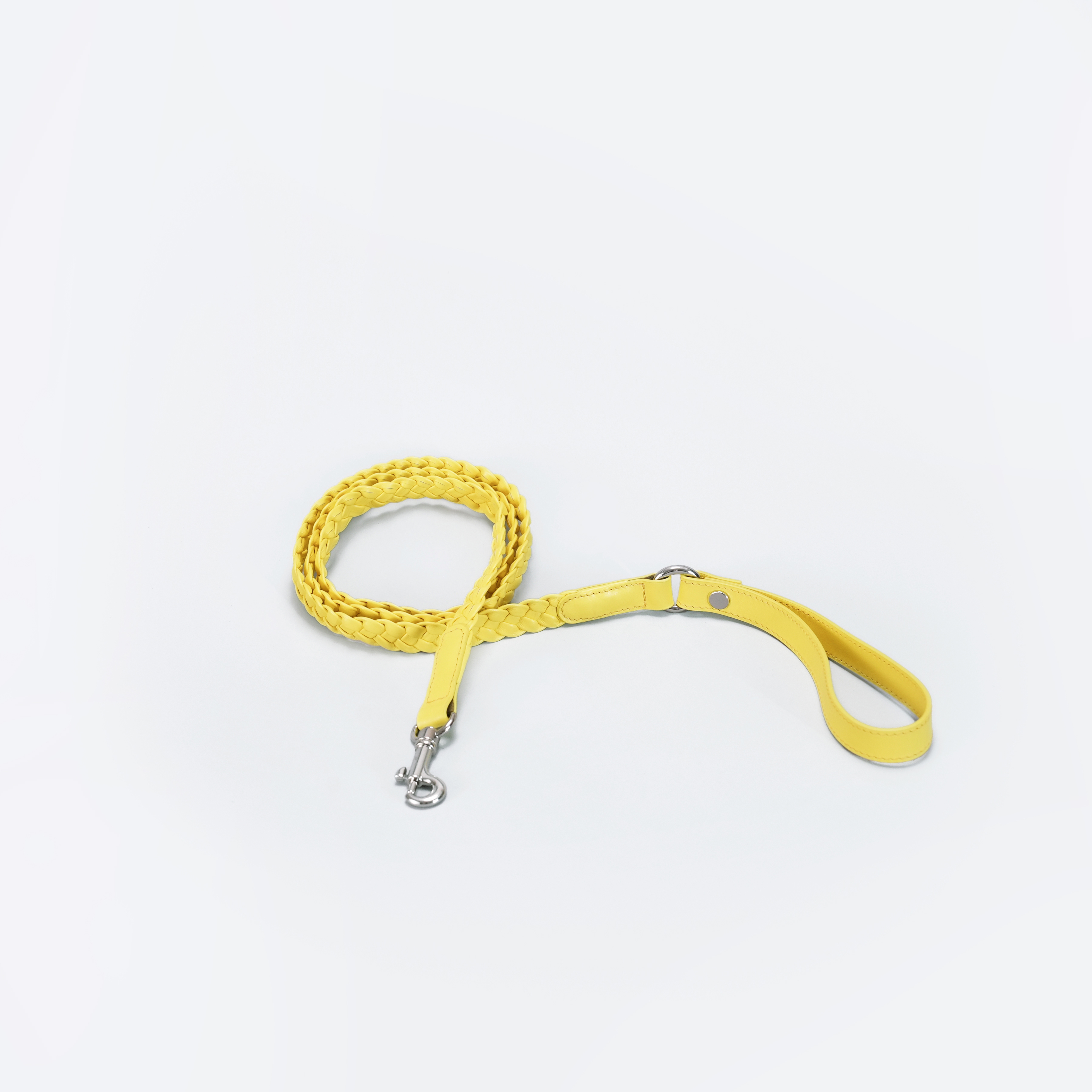Keukenhof Spring Tulip Dog Leash  Yellow-PPZEN