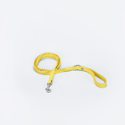 Keukenhof Spring Tulip Dog Leash  Yellow-PPZEN