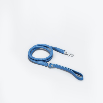   Mediterranean Summer Vacation Dog Leash Blue-PPZEN
