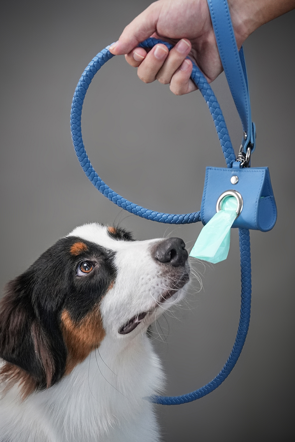 Poop Bag Holder Blue-PPZEN