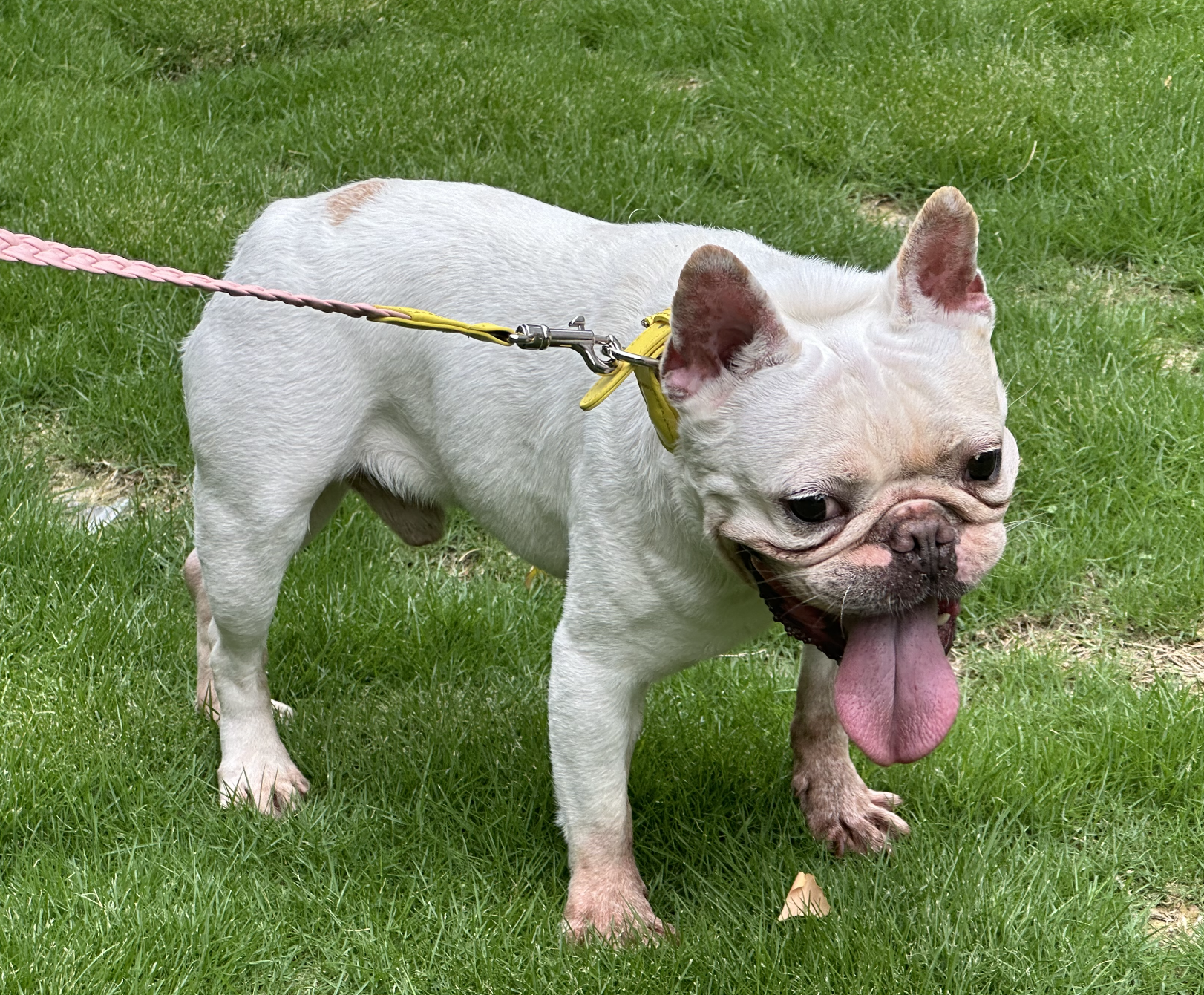 Lead set=2circle+1rope  Both are at ease!-PPZEN